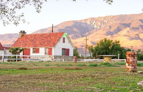 Cell Phone Signal Boosters for Rural & Remore Area Cottages & Cabins