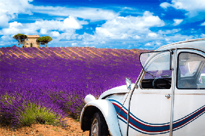 Signal Boosters for Remote Areas with Weak Cell Phone Coverage